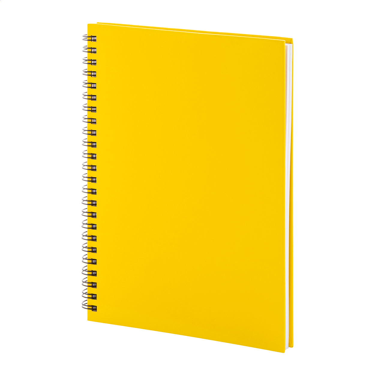 Strobus A5 Notizbuch