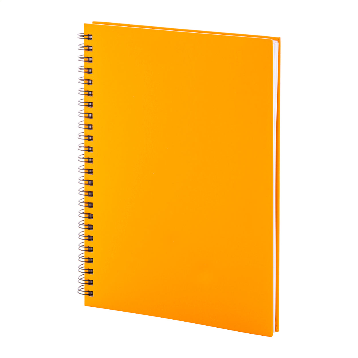 Strobus A5 Notizbuch