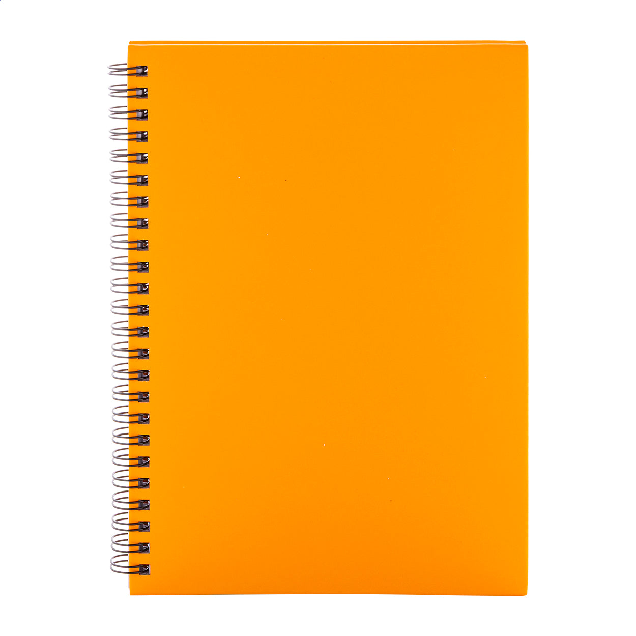 Strobus A5 Notizbuch