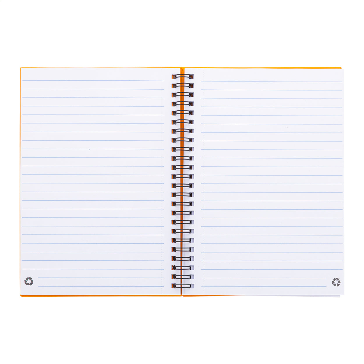 Strobus A5 Notizbuch