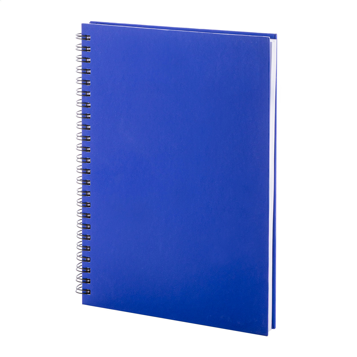 Strobus A5 Notizbuch
