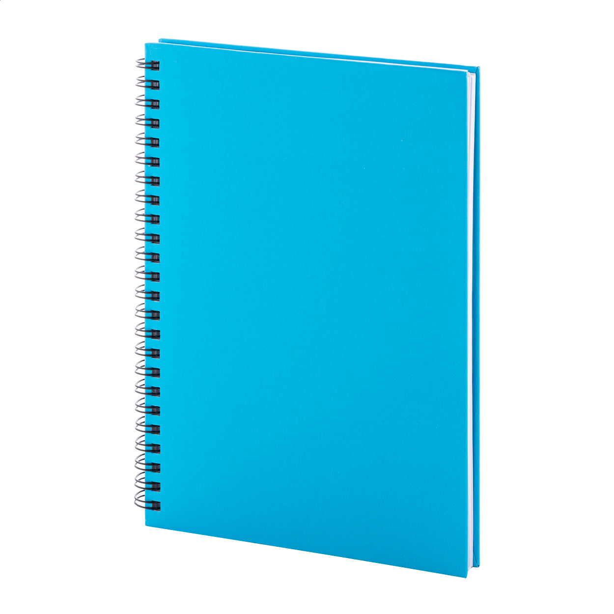 Strobus A5 Notizbuch