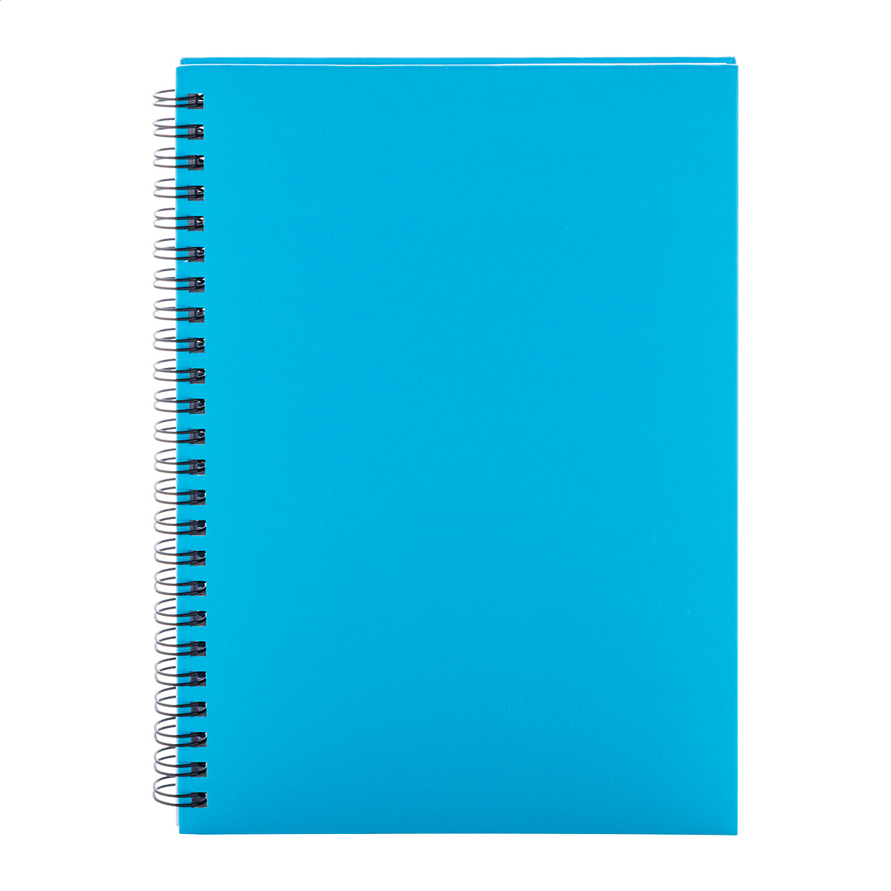Strobus A5 Notizbuch