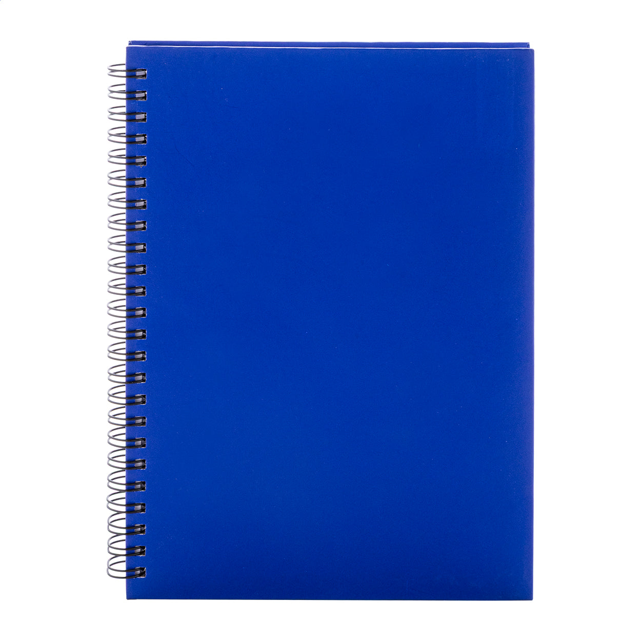 Strobus A5 Notizbuch