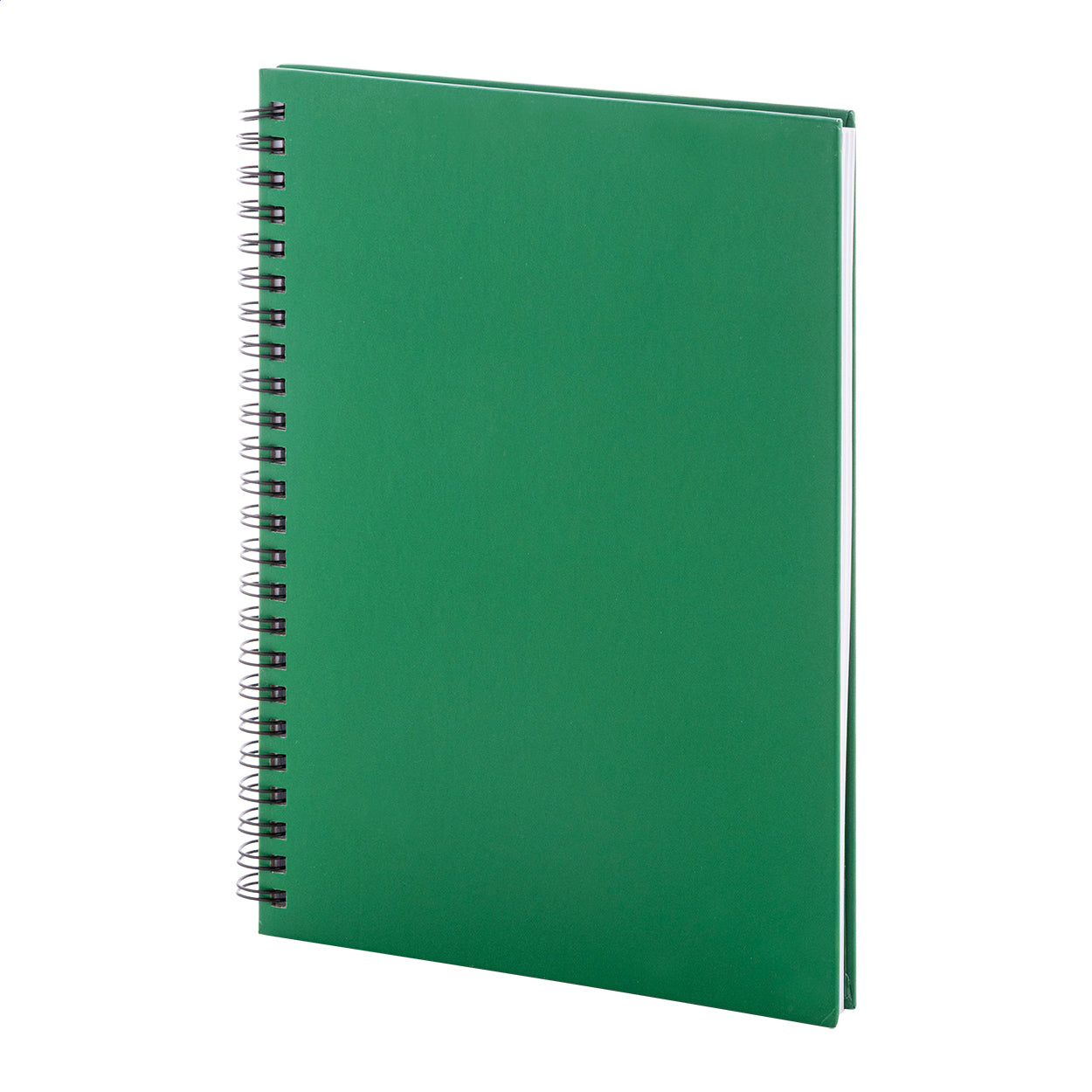 Strobus A5 Notizbuch