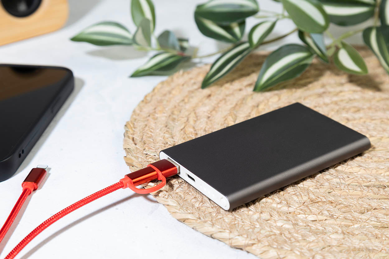 RaluFour Powerbank