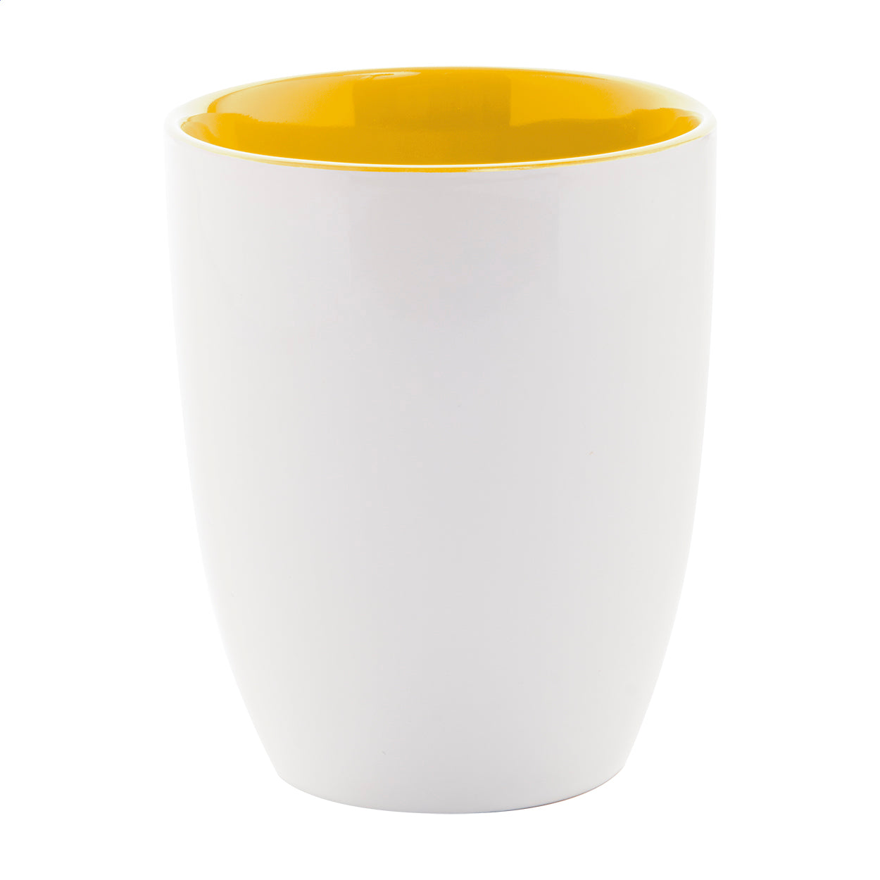Maia Tasse