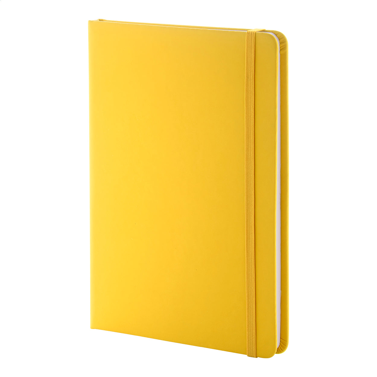 Repuk Line A5 RPU Notizbuch