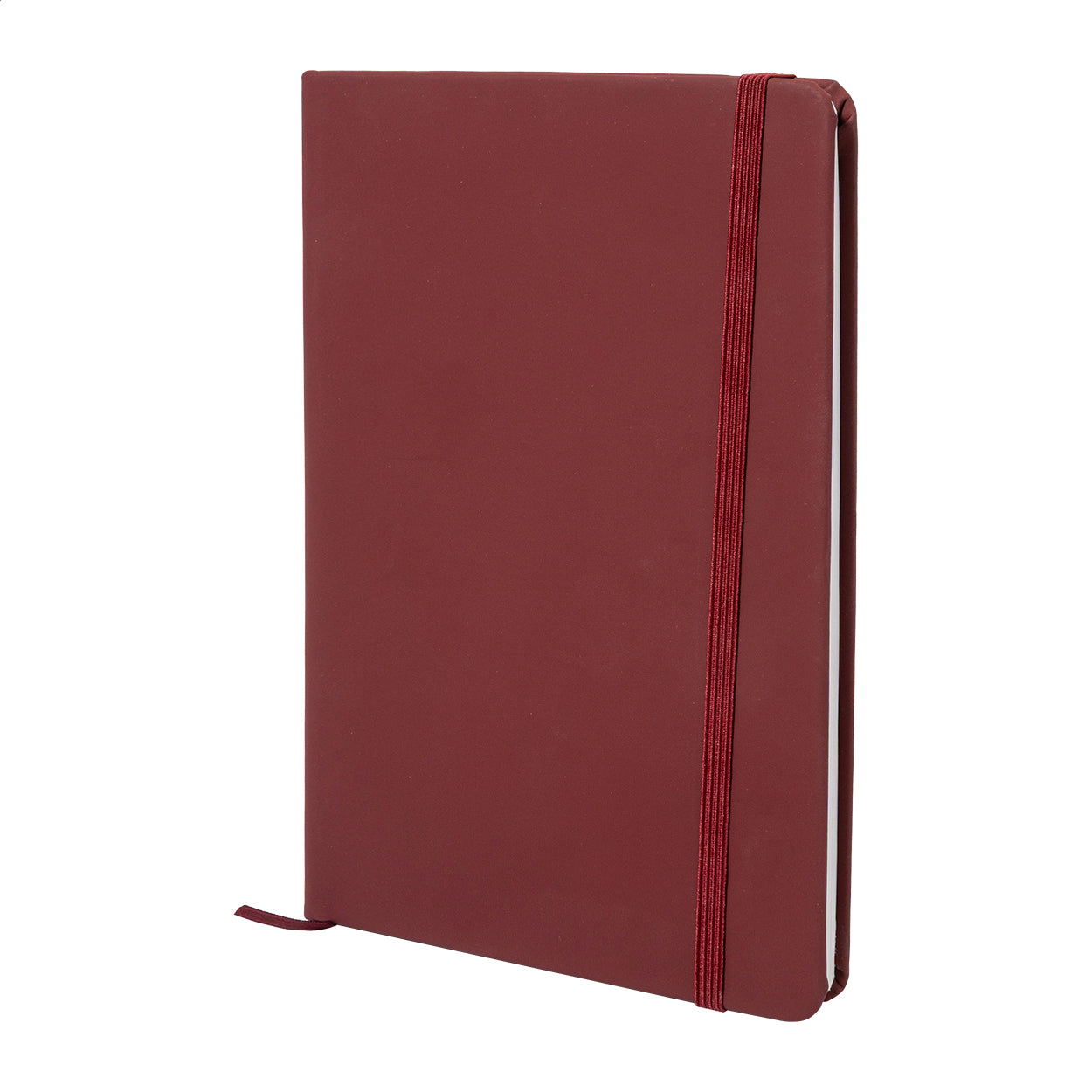 Repuk Line A5 RPU Notizbuch