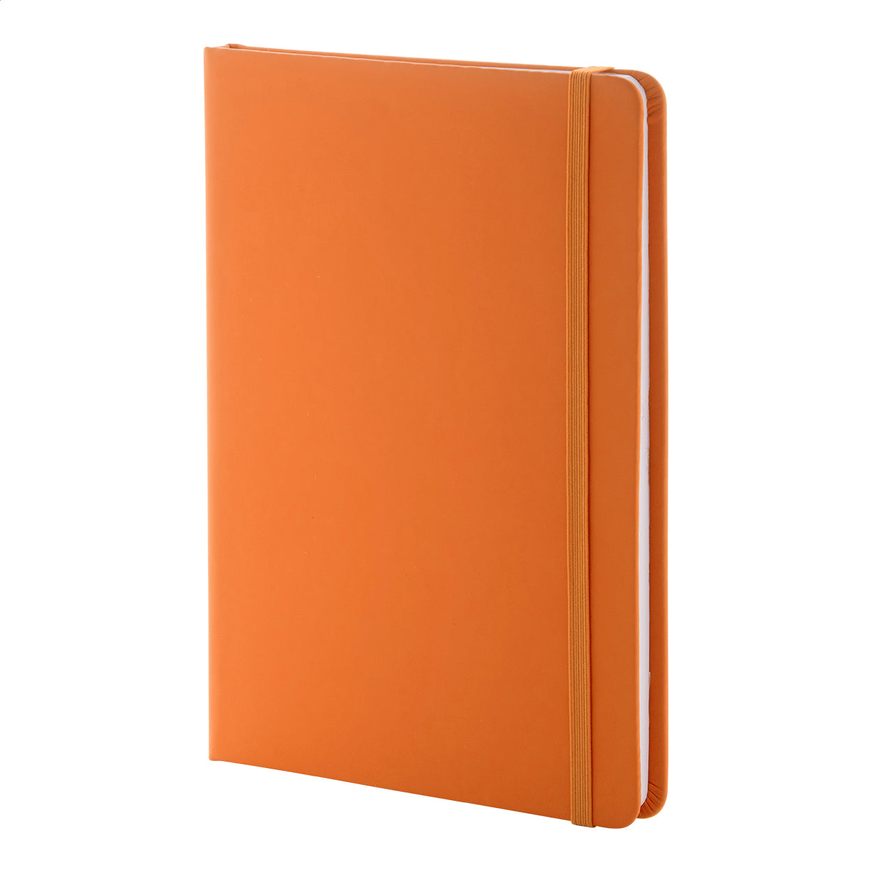 Repuk Blank A5 RPU Notizbuch