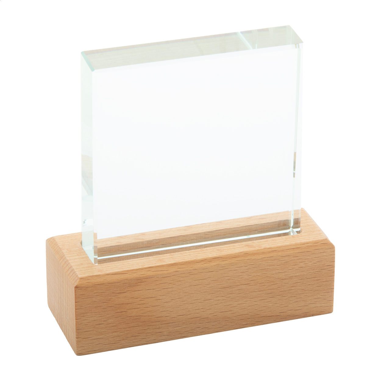 Rectofi Trophäe