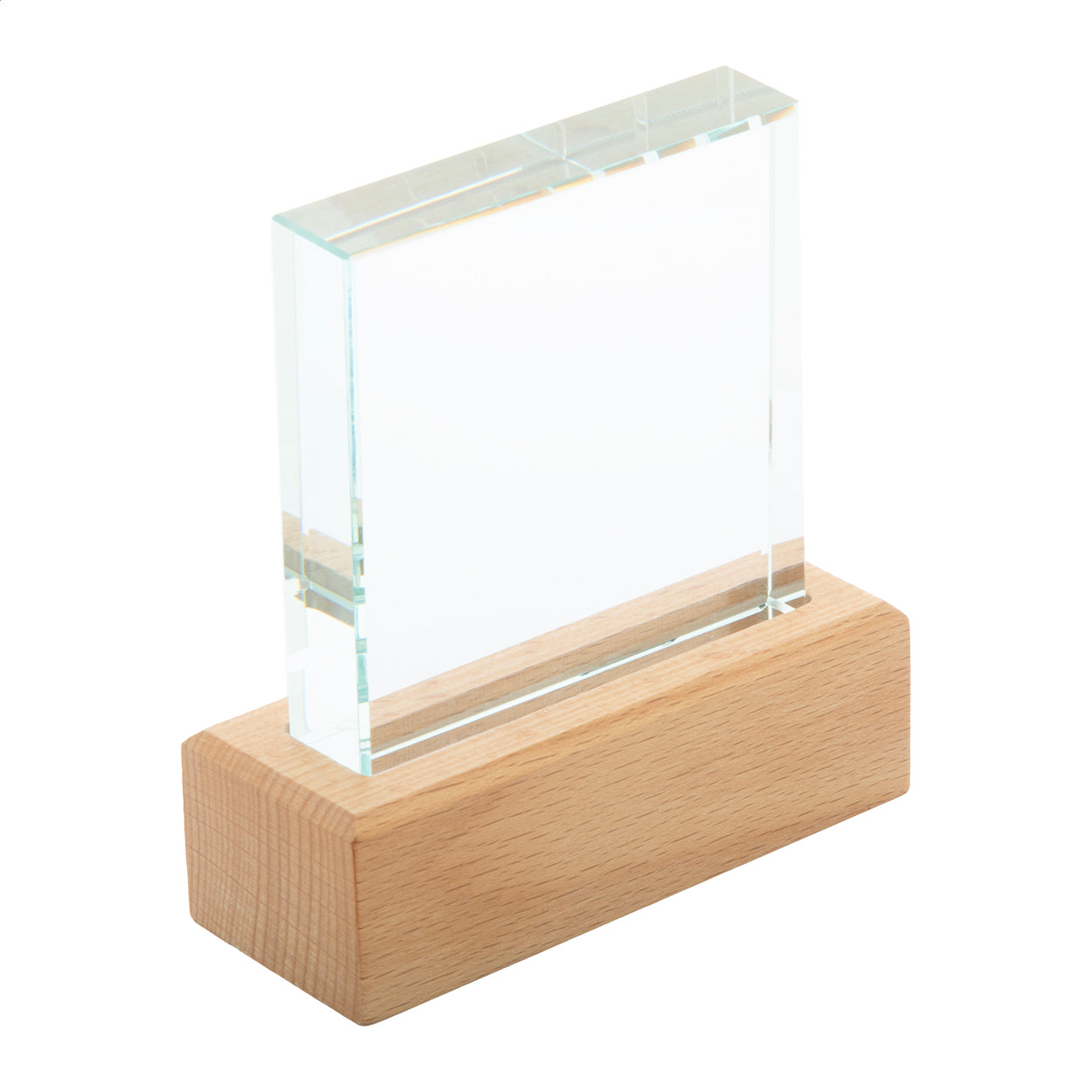 Rectofi Trophäe