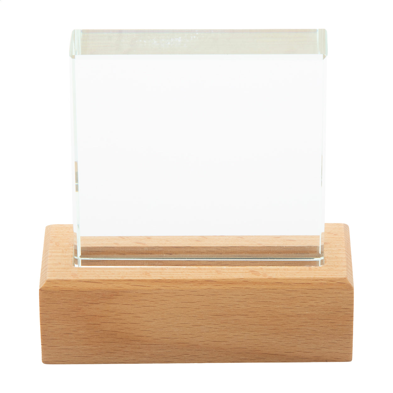 Rectofi Trophäe
