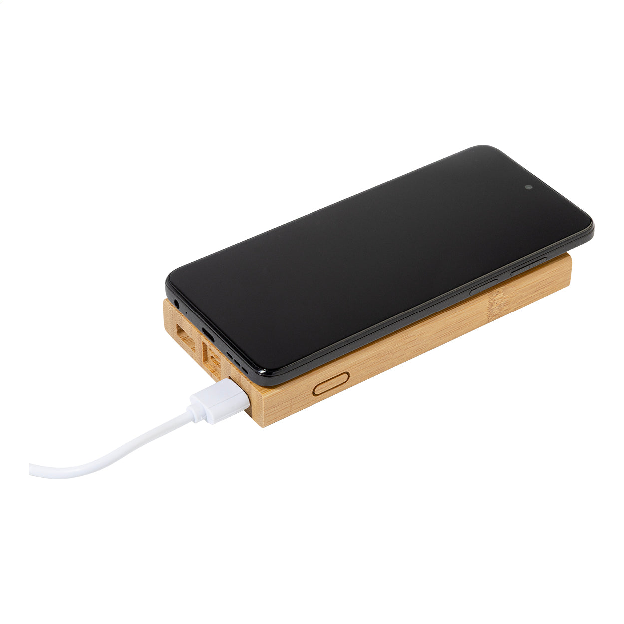 Wooster Powerbank