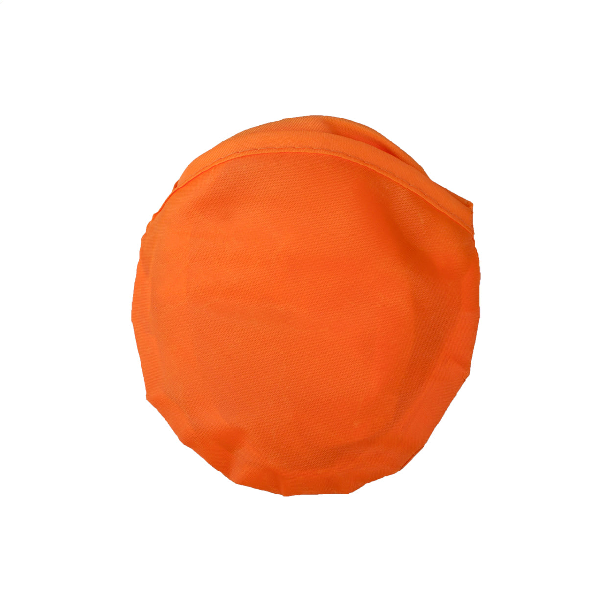 Pocket Frisbee