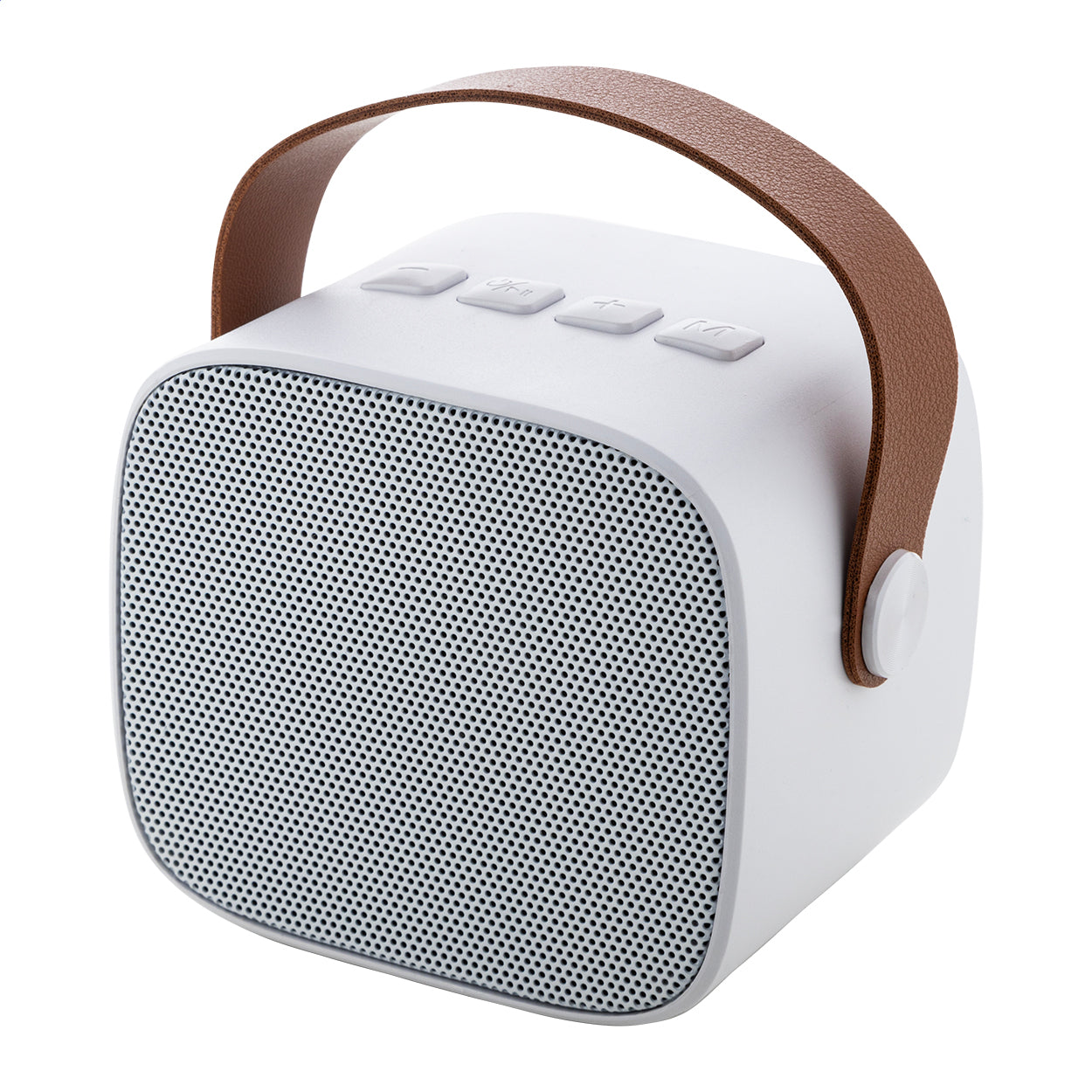 Rabeat RABS Funklautsprecher