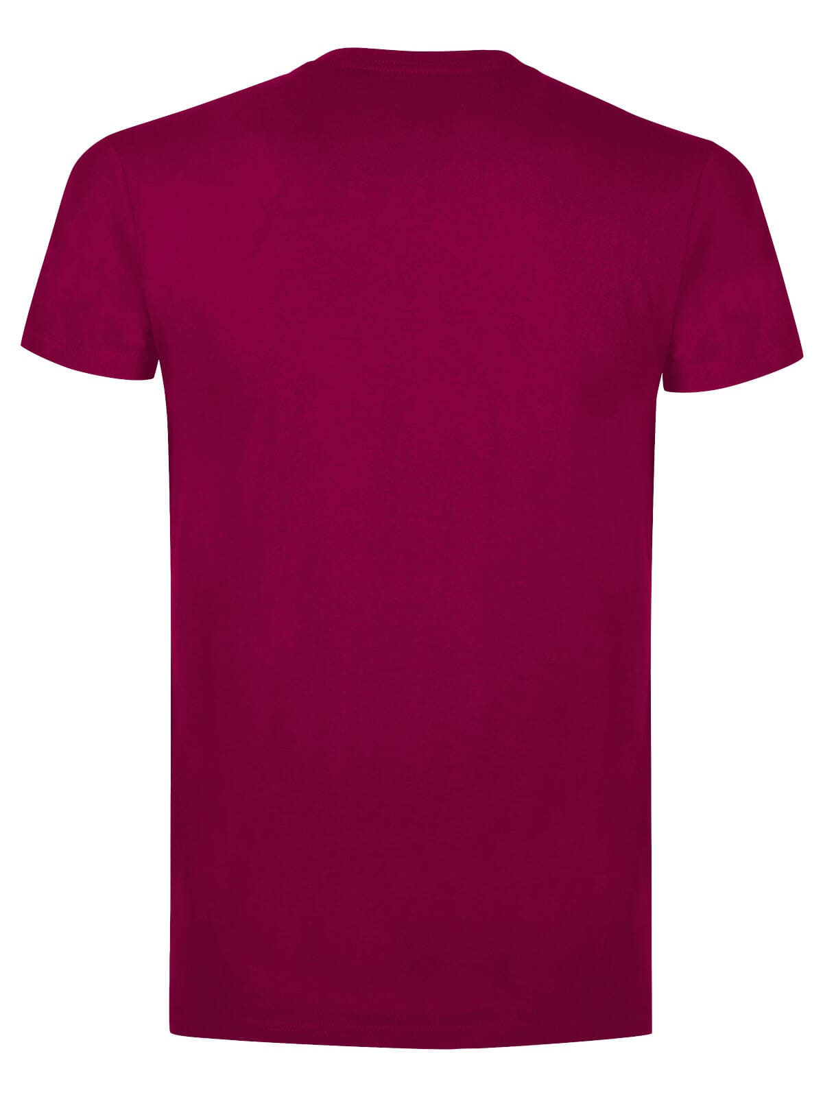 BS Evolution T-Shirt, 150 g/m²