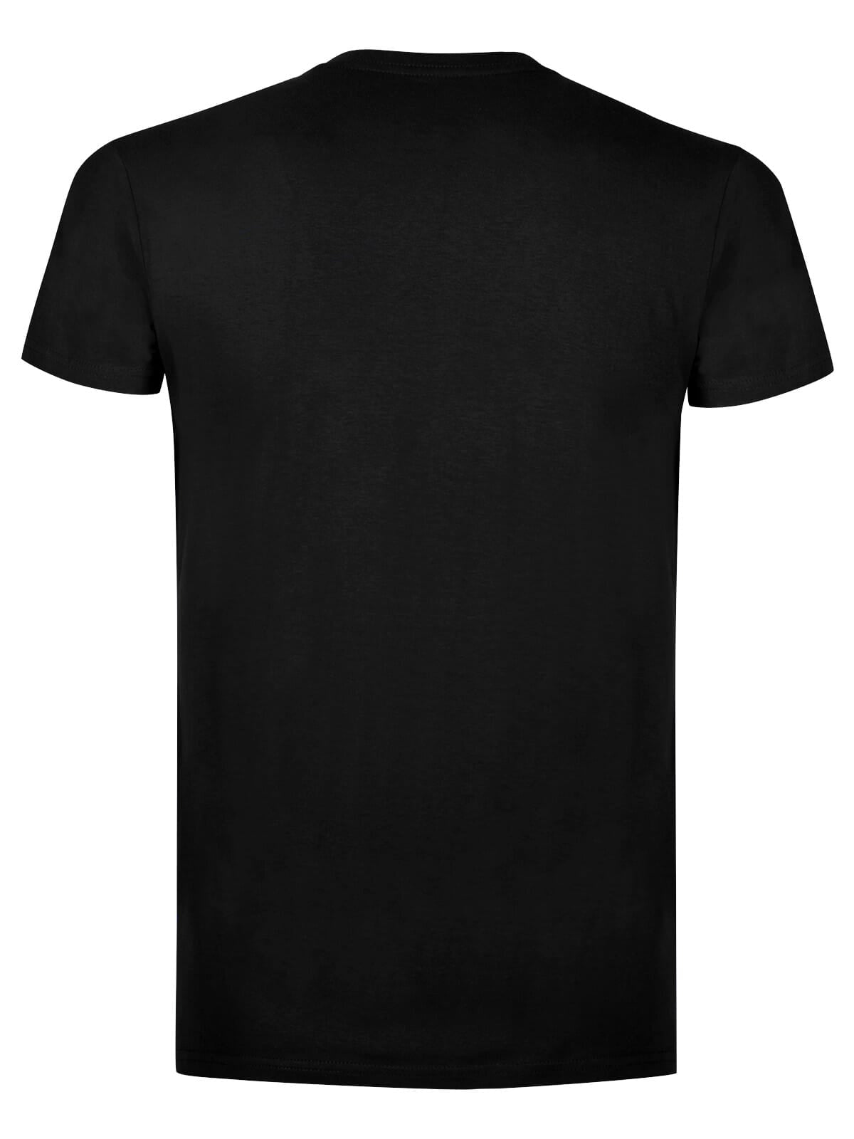 BS Evolution T-Shirt, 150 g/m²