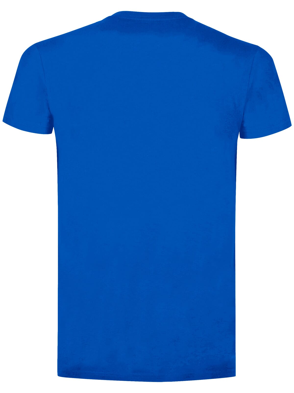 BS Evolution T-Shirt, 150 g/m²