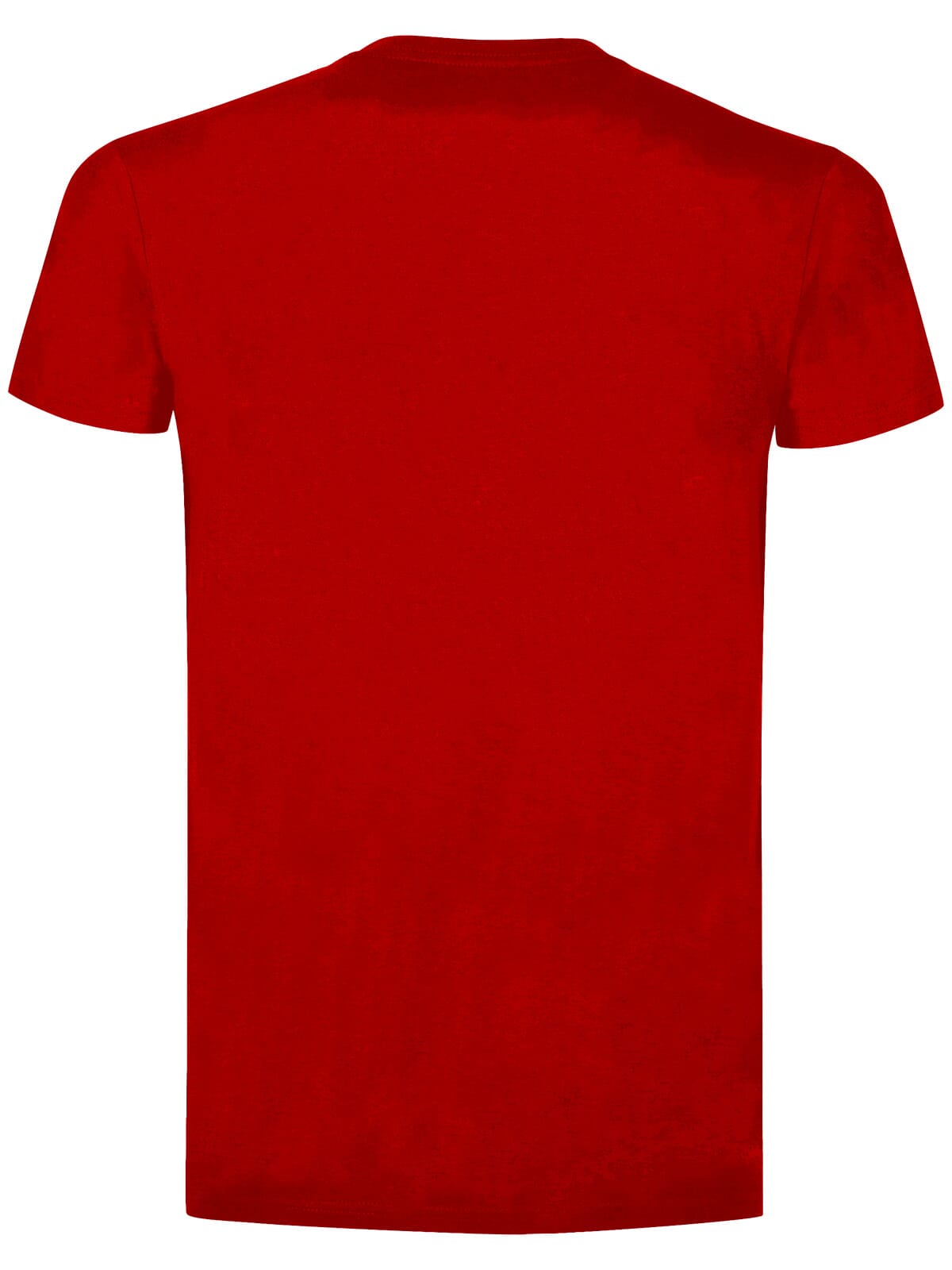 BS Evolution T-Shirt, 150 g/m²
