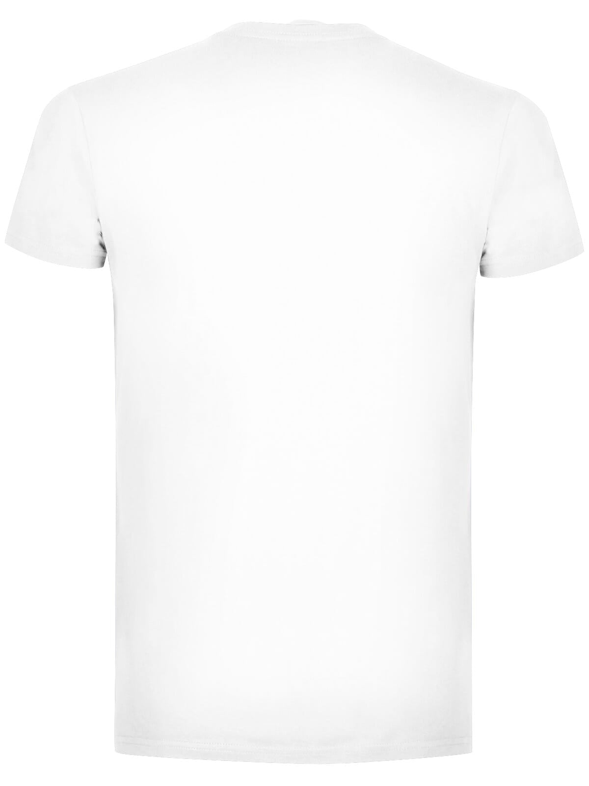 BS Evolution T-Shirt, 150 g/m²