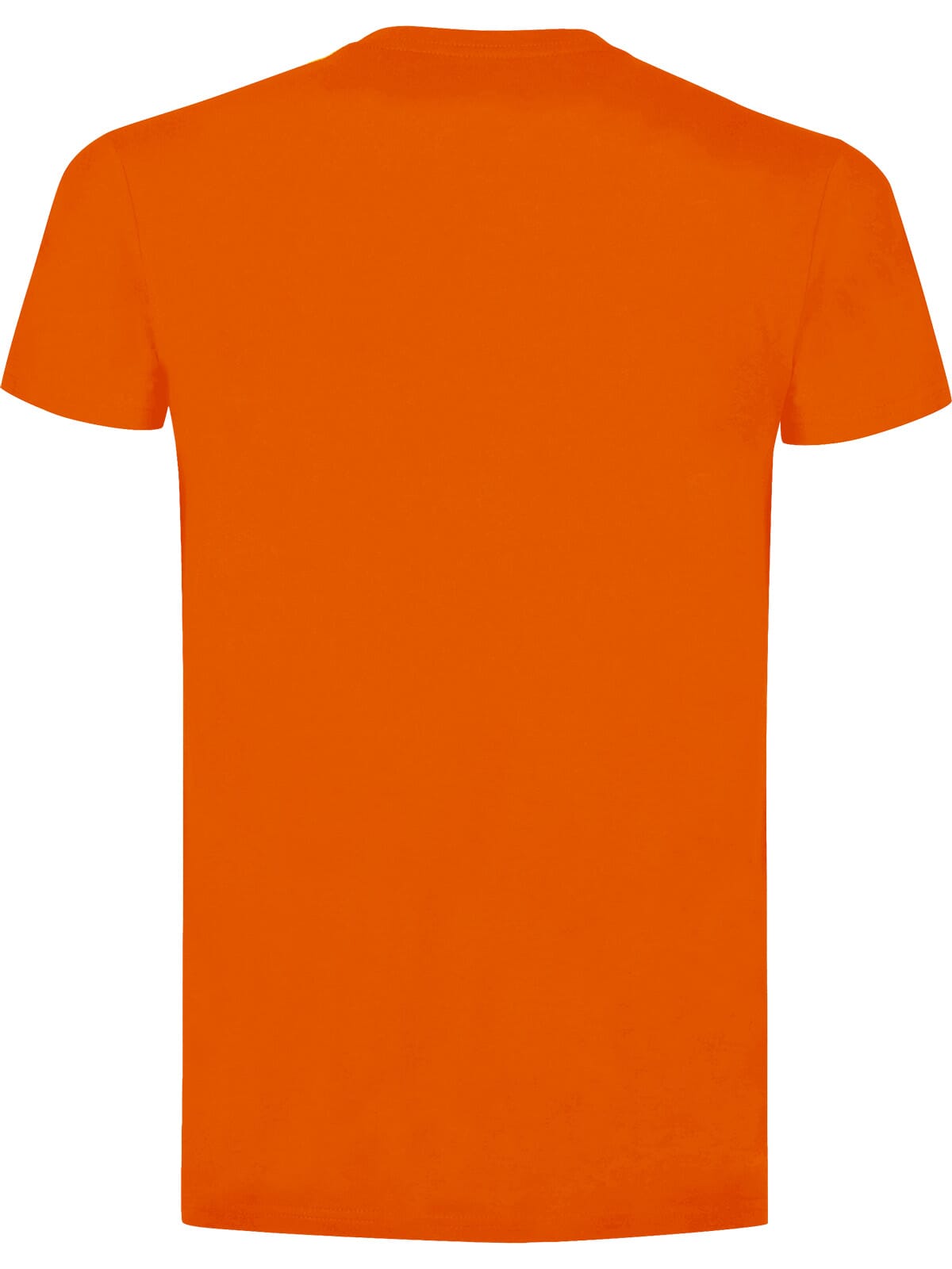 BS Evolution T-Shirt, 150 g/m²