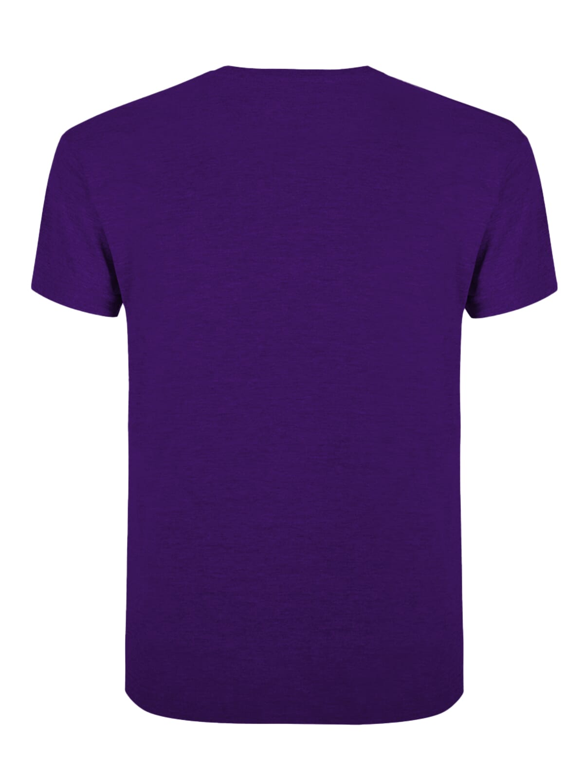 BS Evolution T-Shirt, 150 g/m²