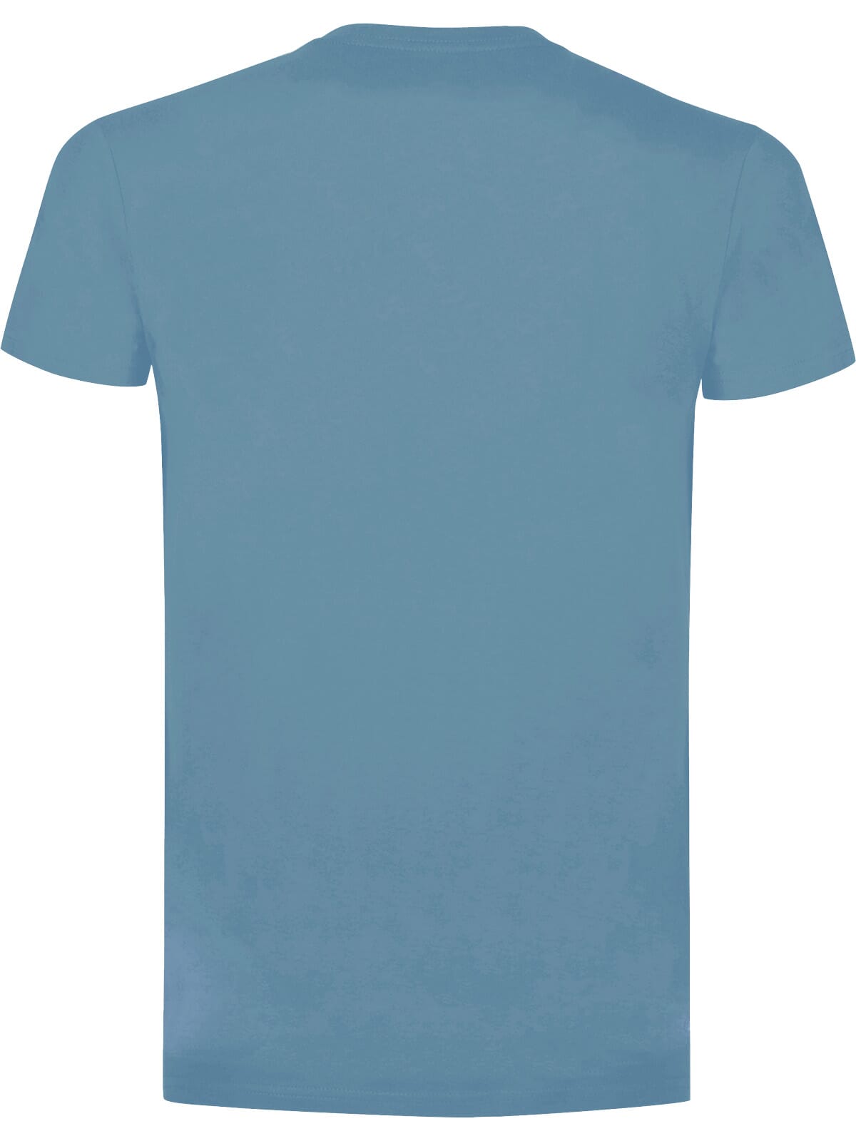 BS Evolution T-Shirt, 150 g/m²