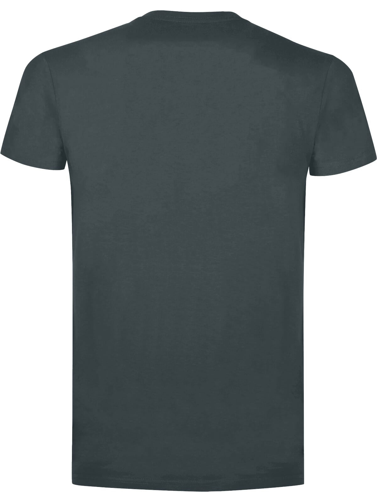 BS Evolution T-Shirt, 150 g/m²