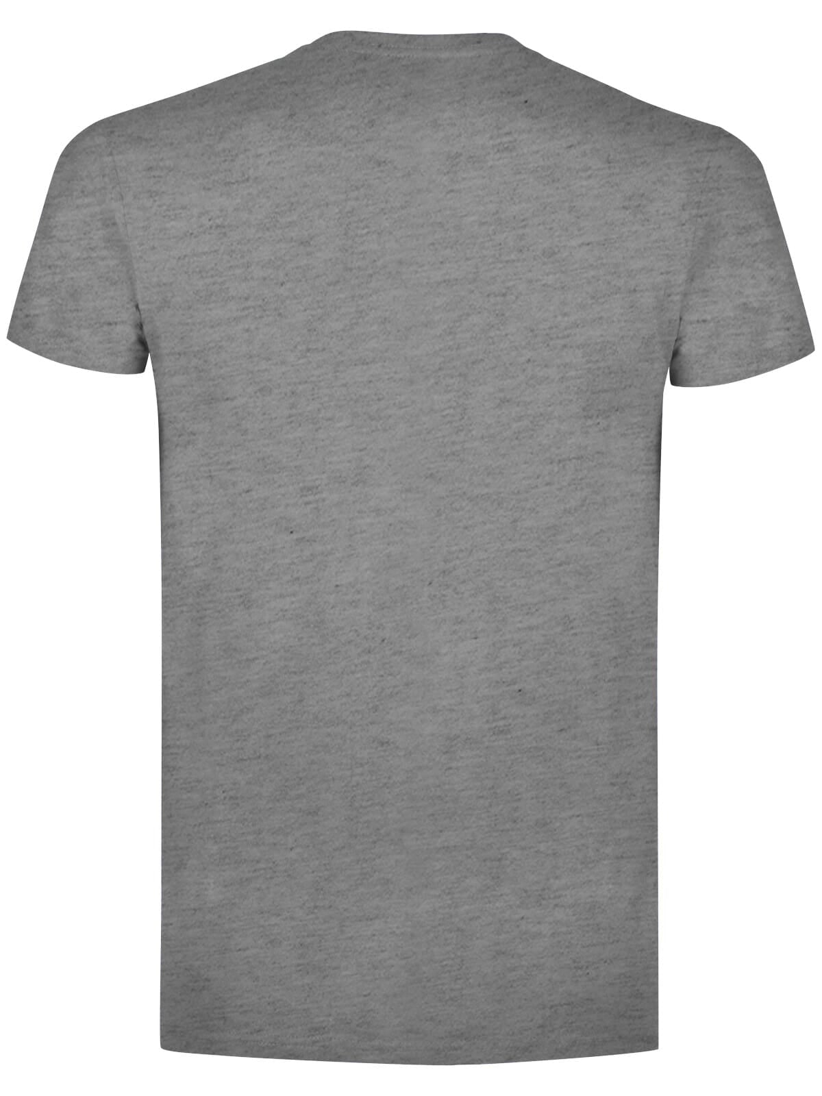 BS Evolution T-Shirt, 150 g/m²