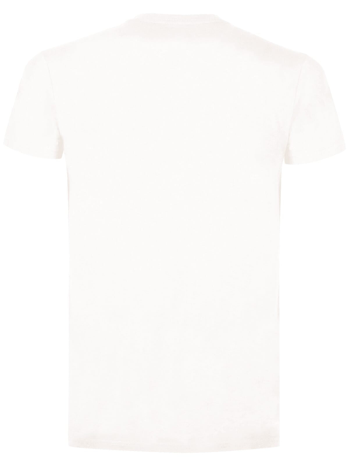 BS Evolution T-Shirt, 150 g/m²