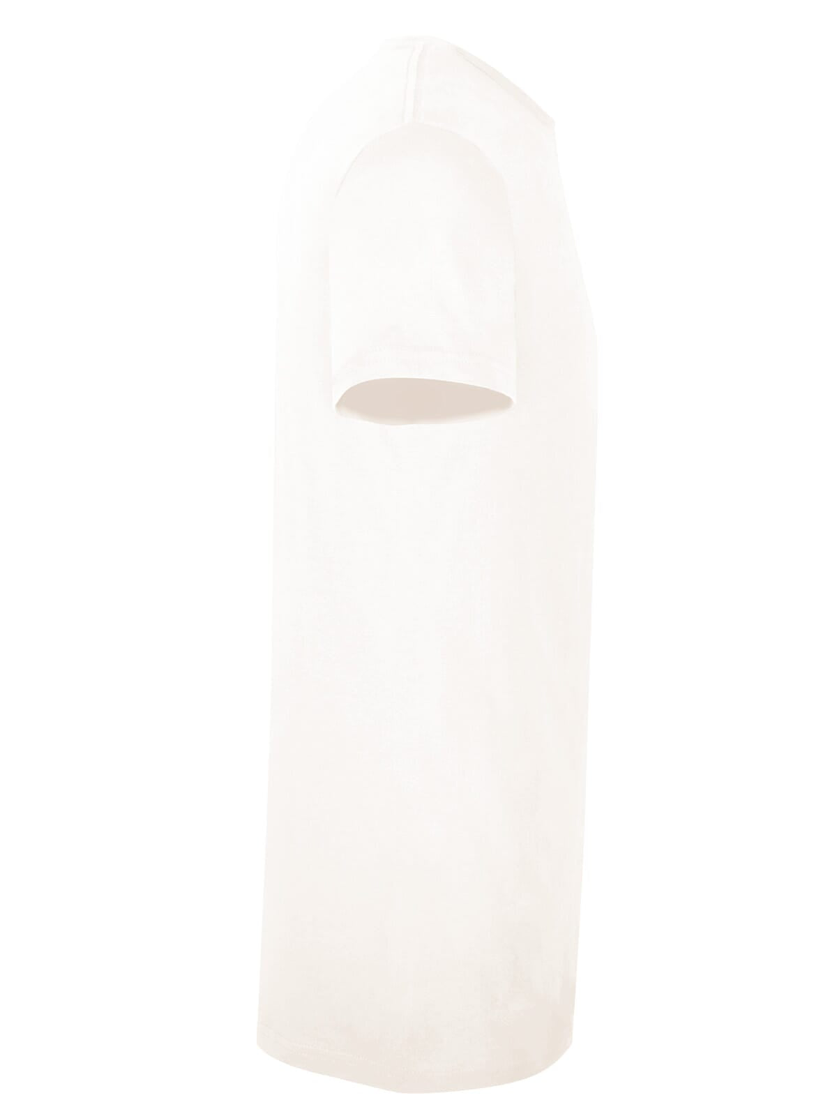BS Evolution T-Shirt, 150 g/m²