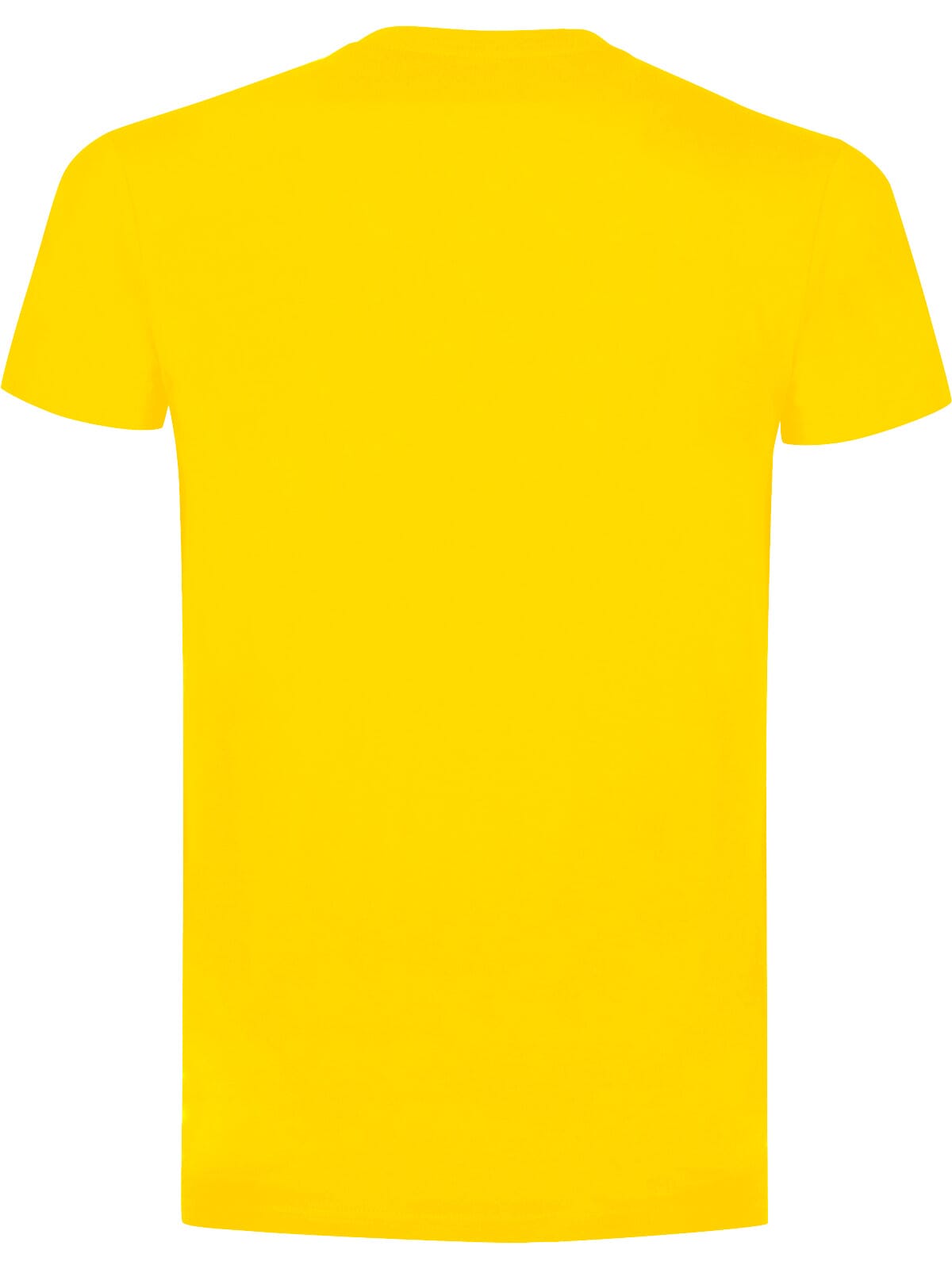 BS Evolution T-Shirt, 150 g/m²