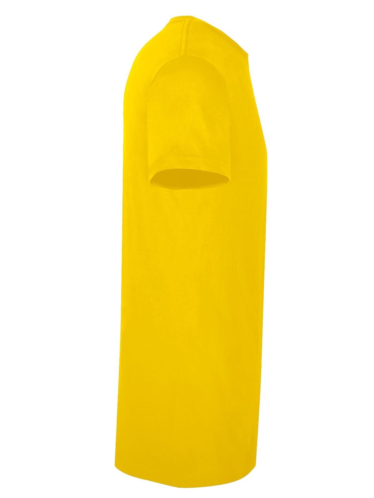BS Evolution T-Shirt, 150 g/m²