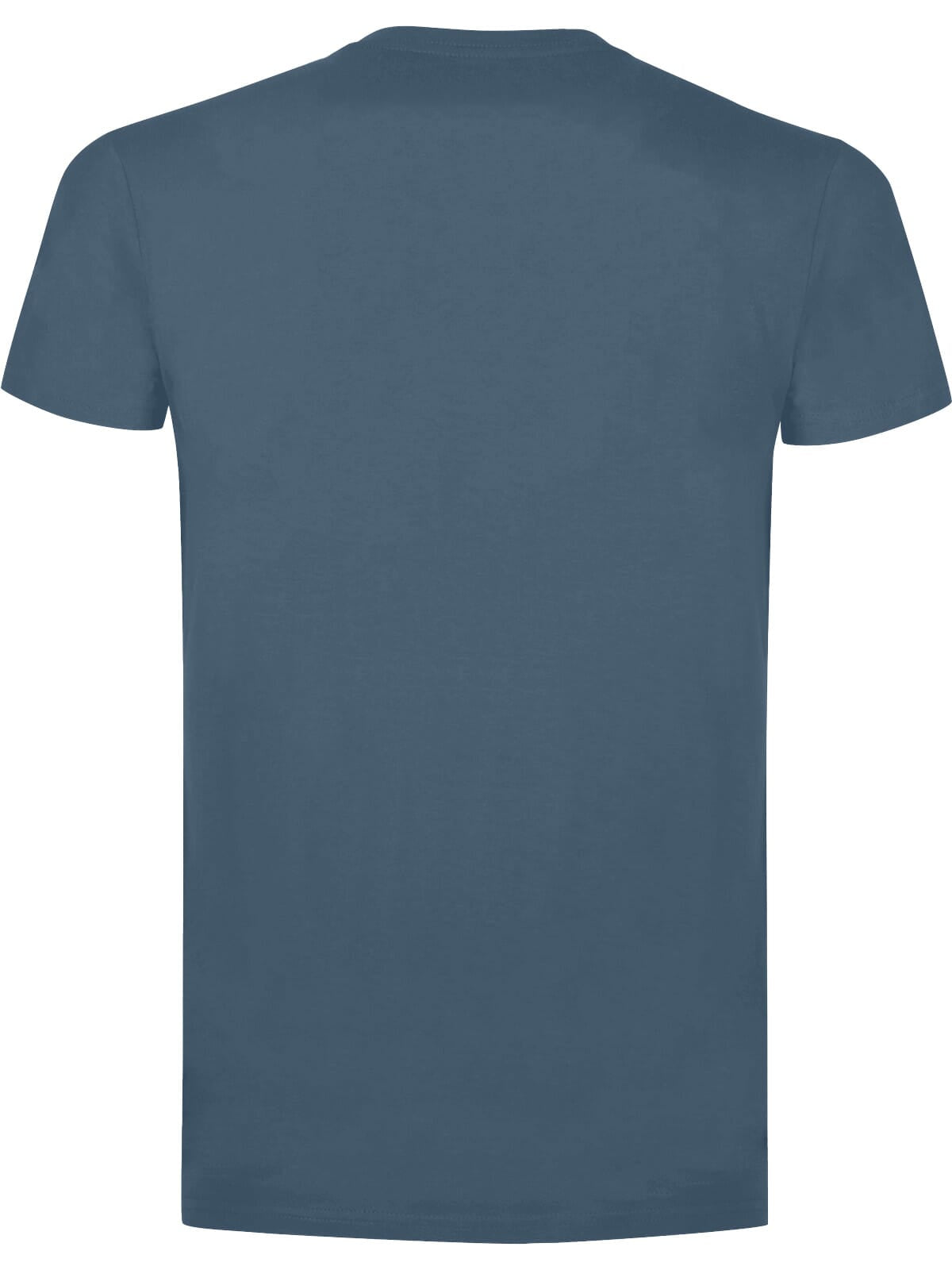 BS Evolution T-Shirt, 150 g/m²