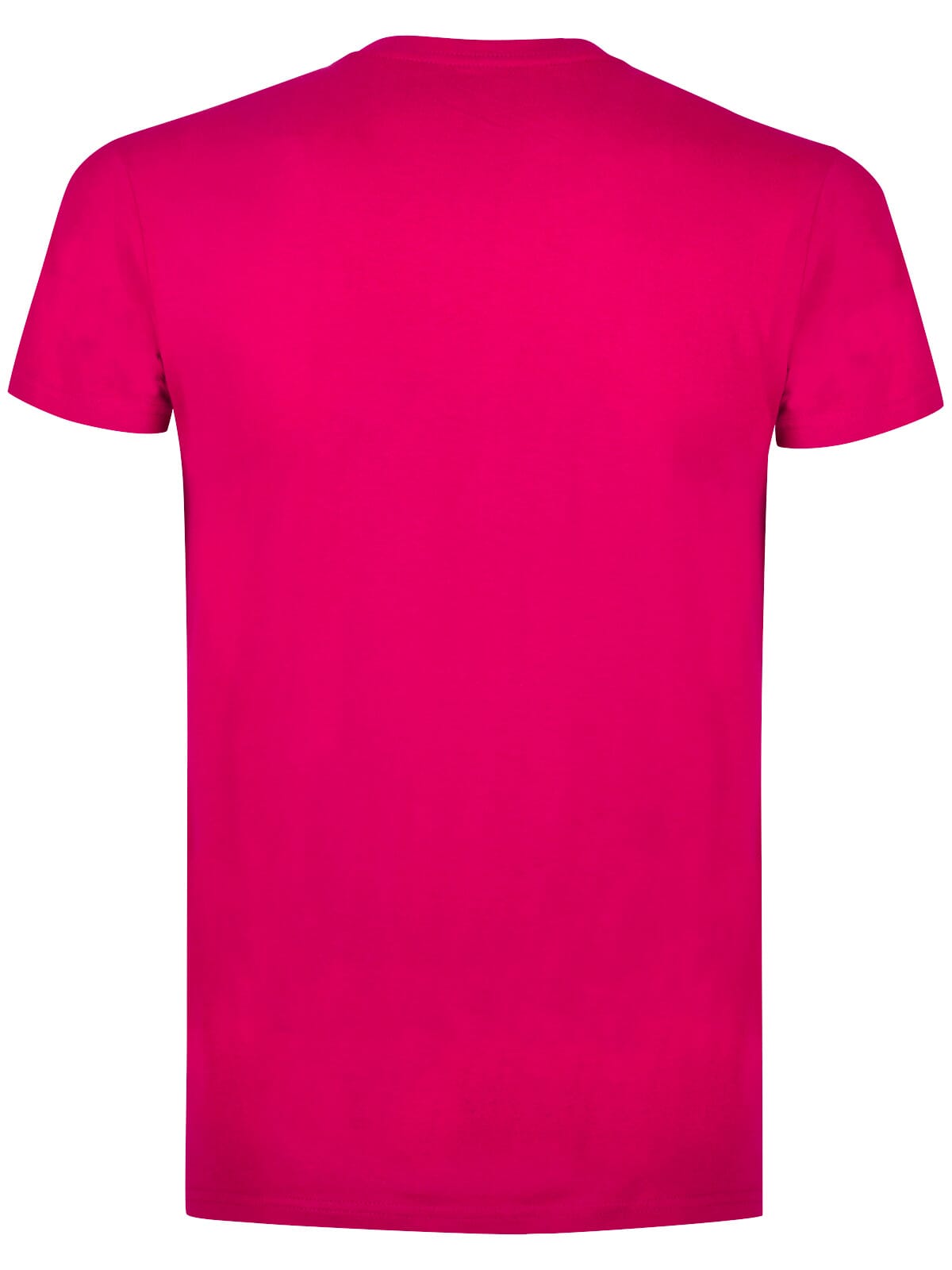BS Evolution T-Shirt, 150 g/m²