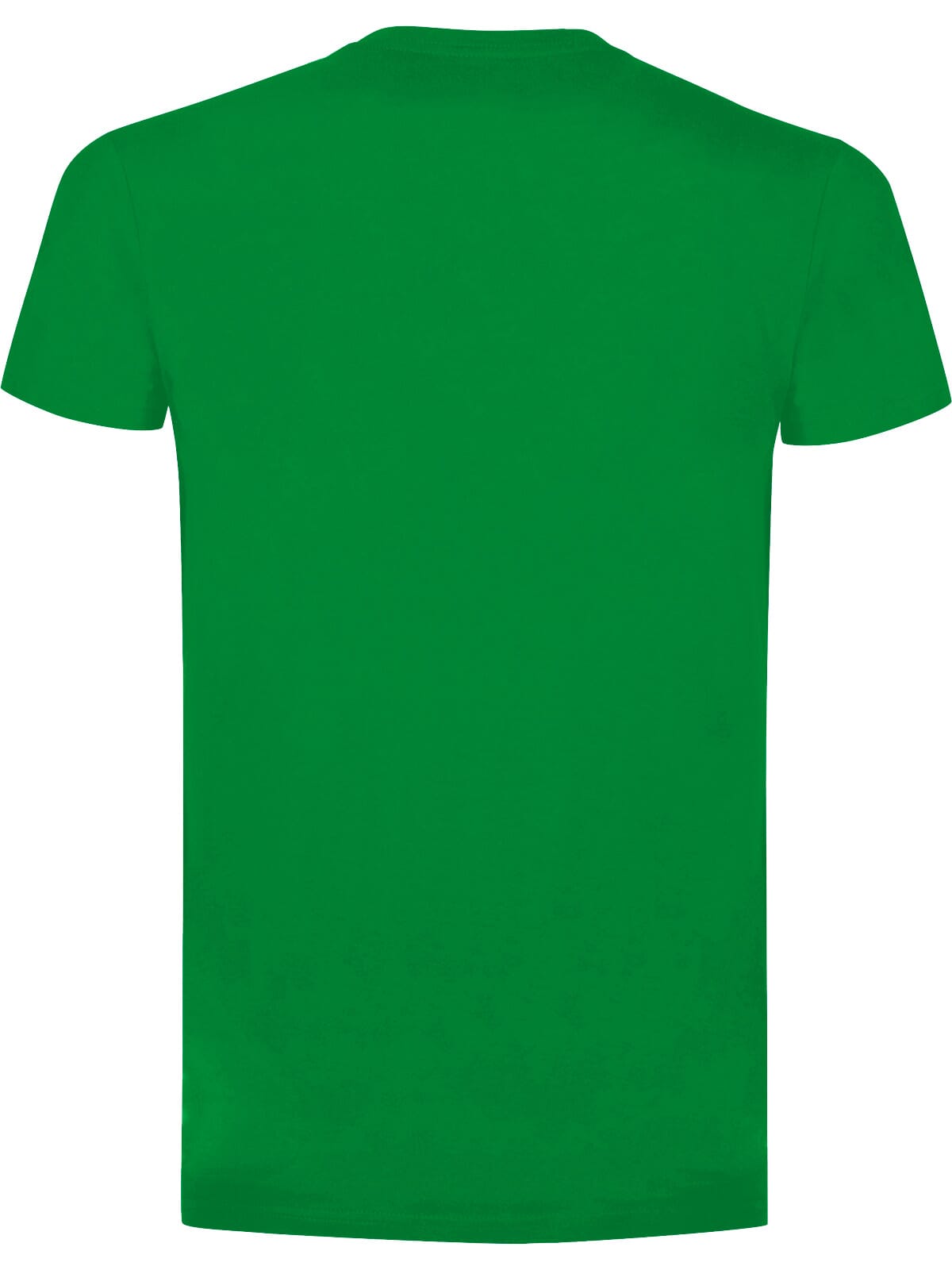 BS Evolution T-Shirt, 150 g/m²