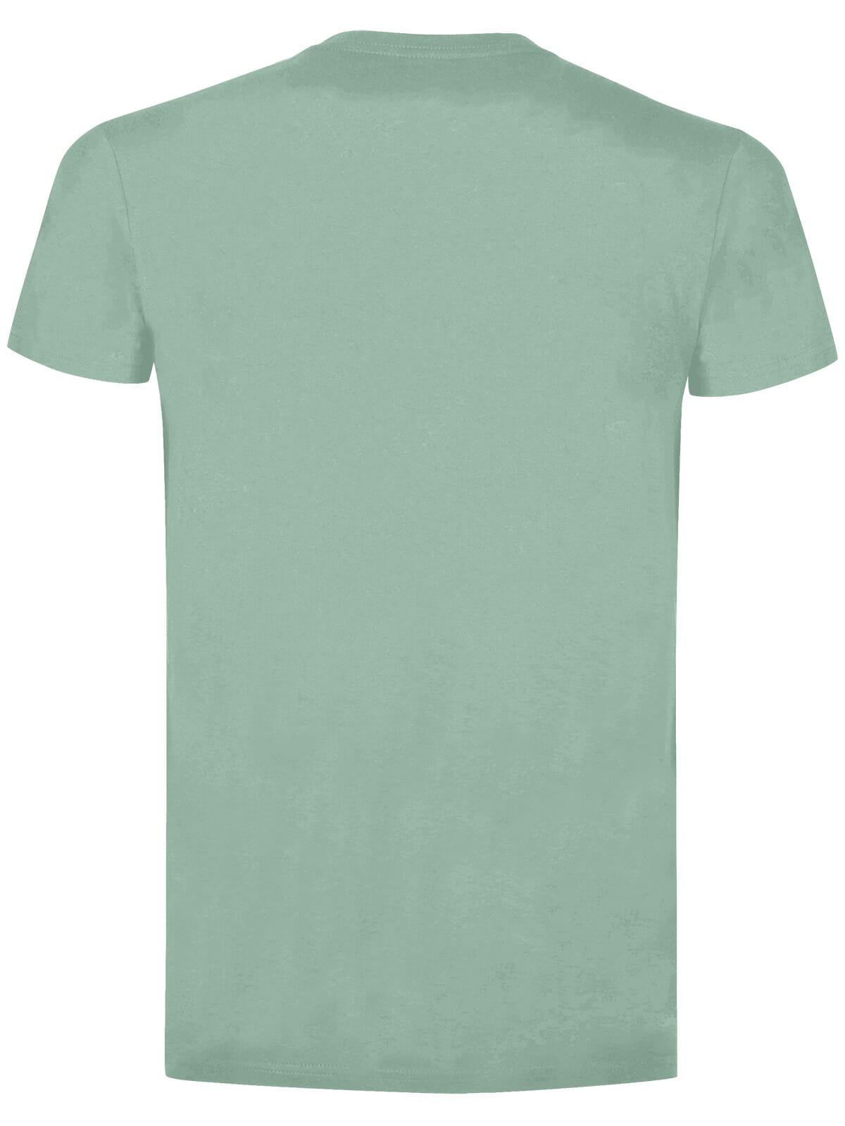 BS Evolution T-Shirt, 150 g/m²