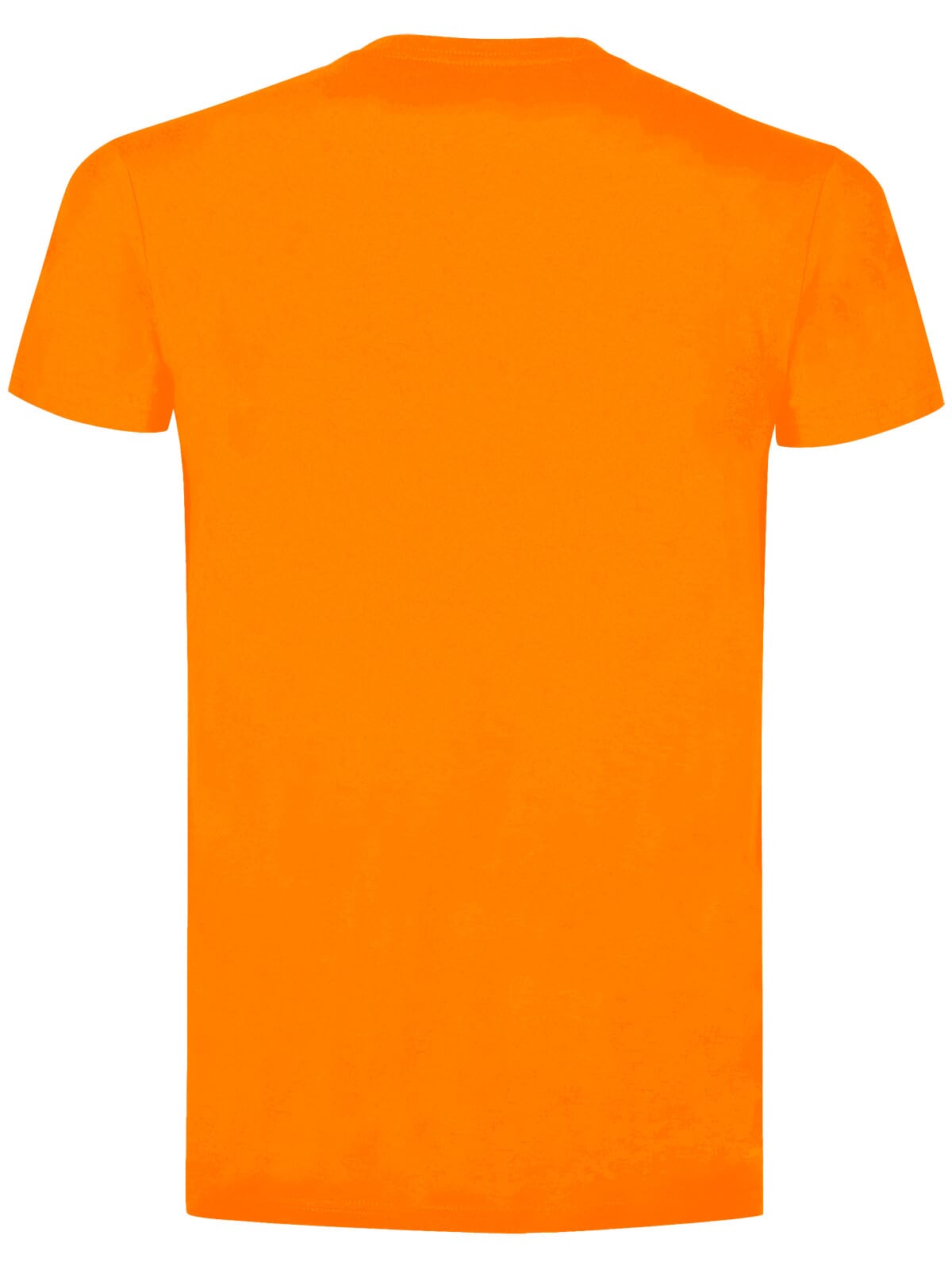 BS Evolution T-Shirt, 150 g/m²