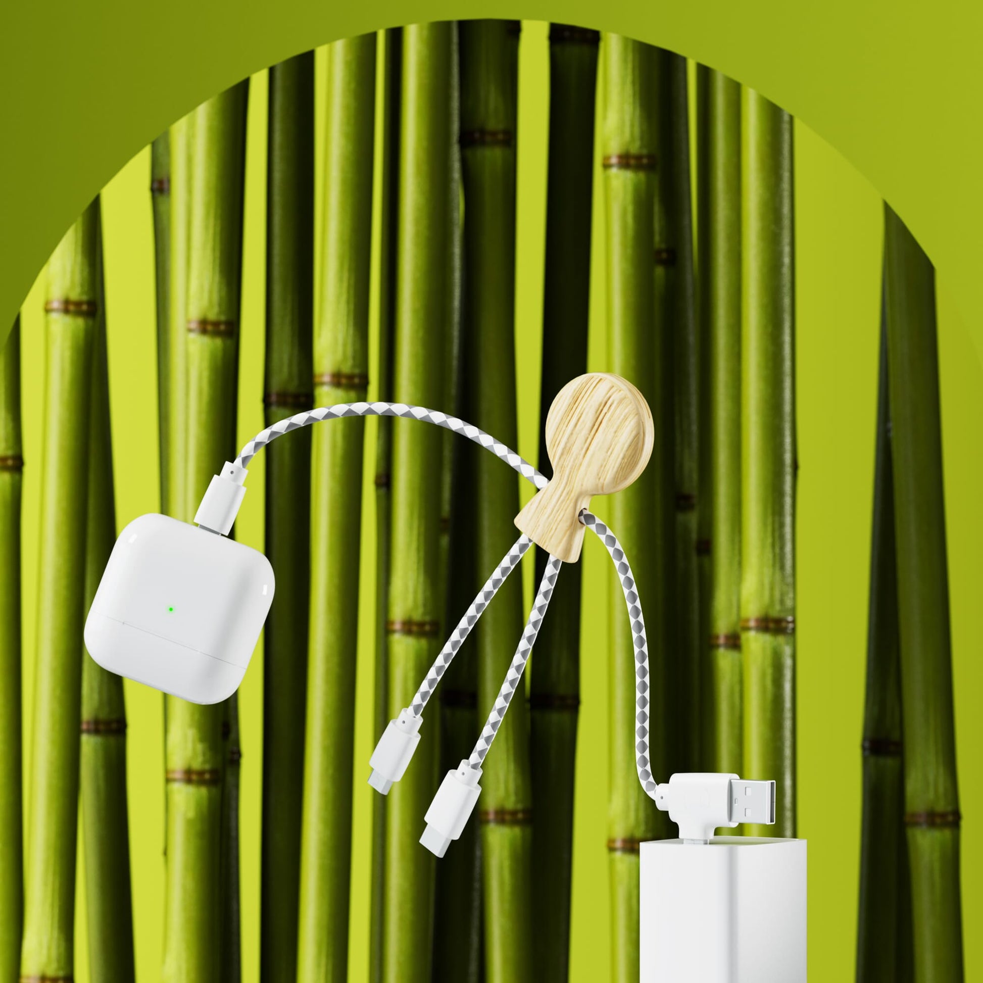 Xoopar Mr. Bio Bamboo Charging Cable