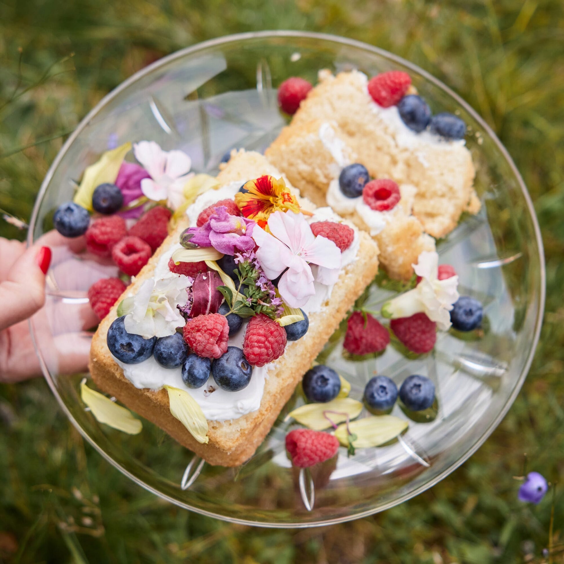 Sagaform Picknick-Tellerchen 4er-Pack