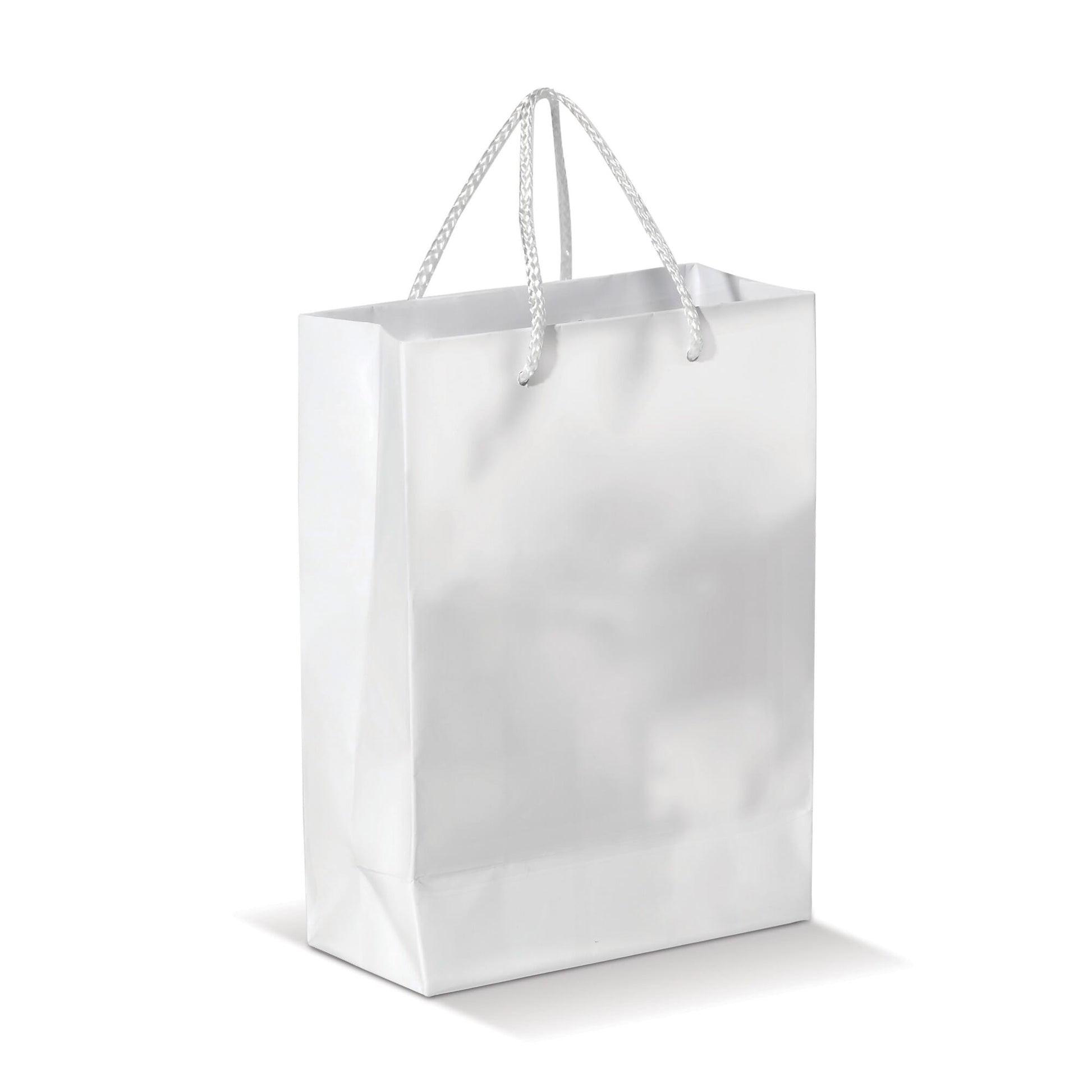 Laminierte Papiertasche, groß