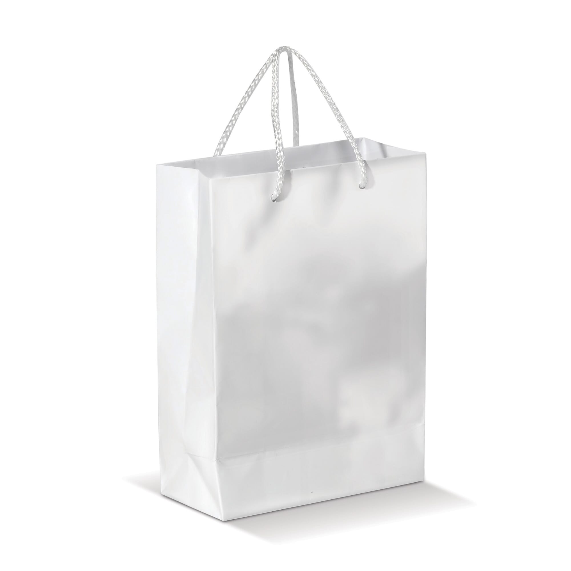 Laminierte Papiertasche, groß