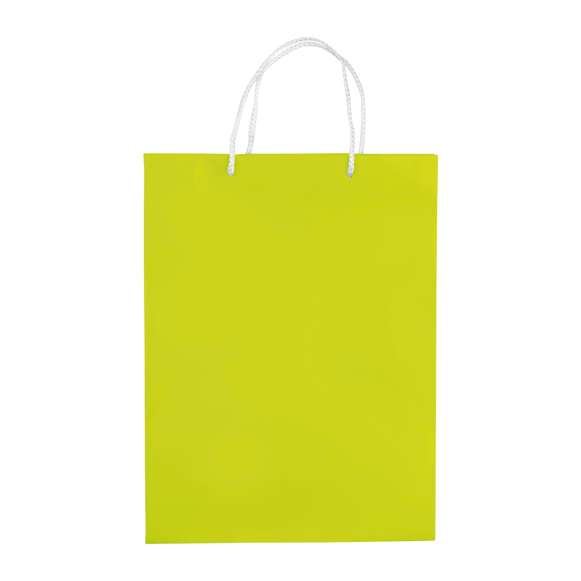 Laminierte Papiertasche, groß