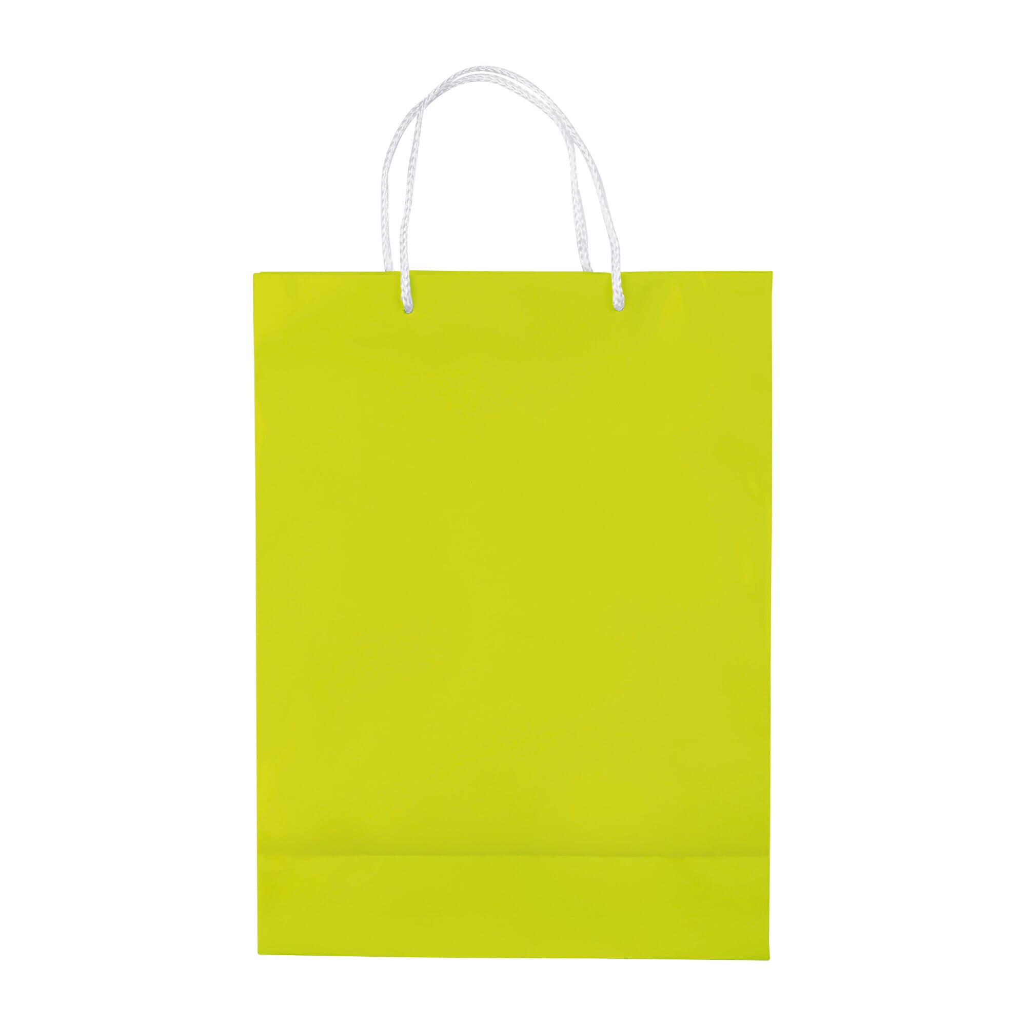Laminierte Papiertasche, groß