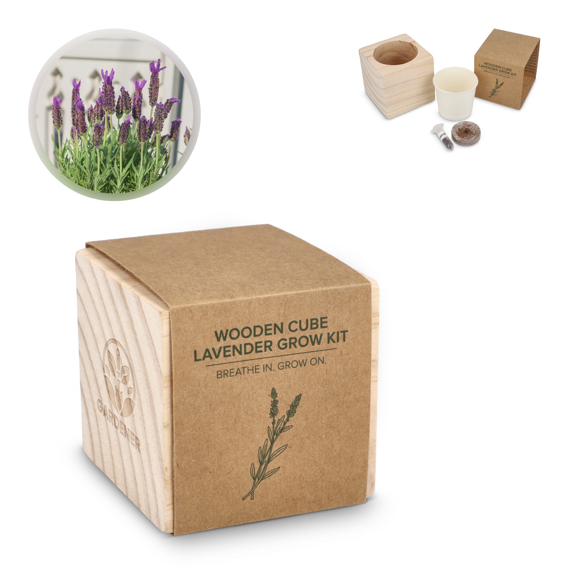 FSC-Holzpflanzgefäß-Set – Lavendel