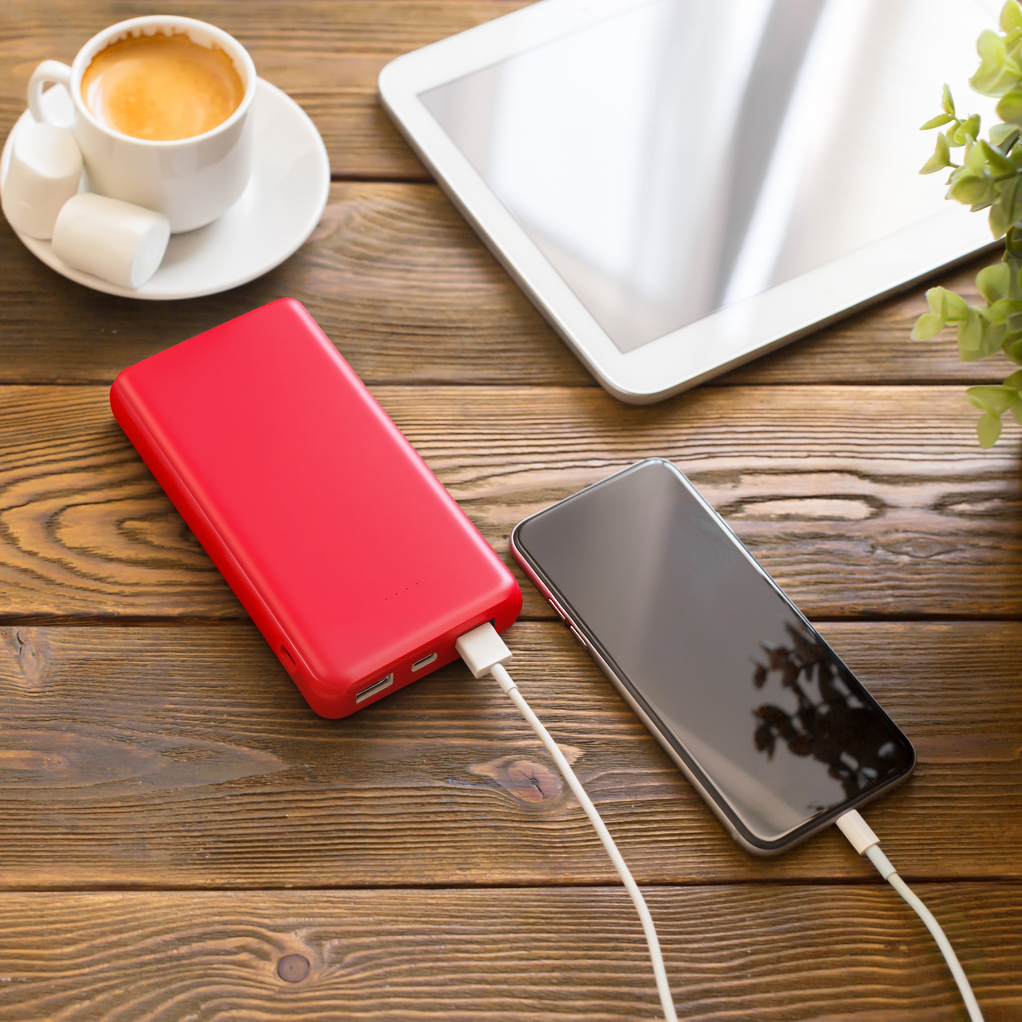 Elite Powerbank 10.000 mAh
