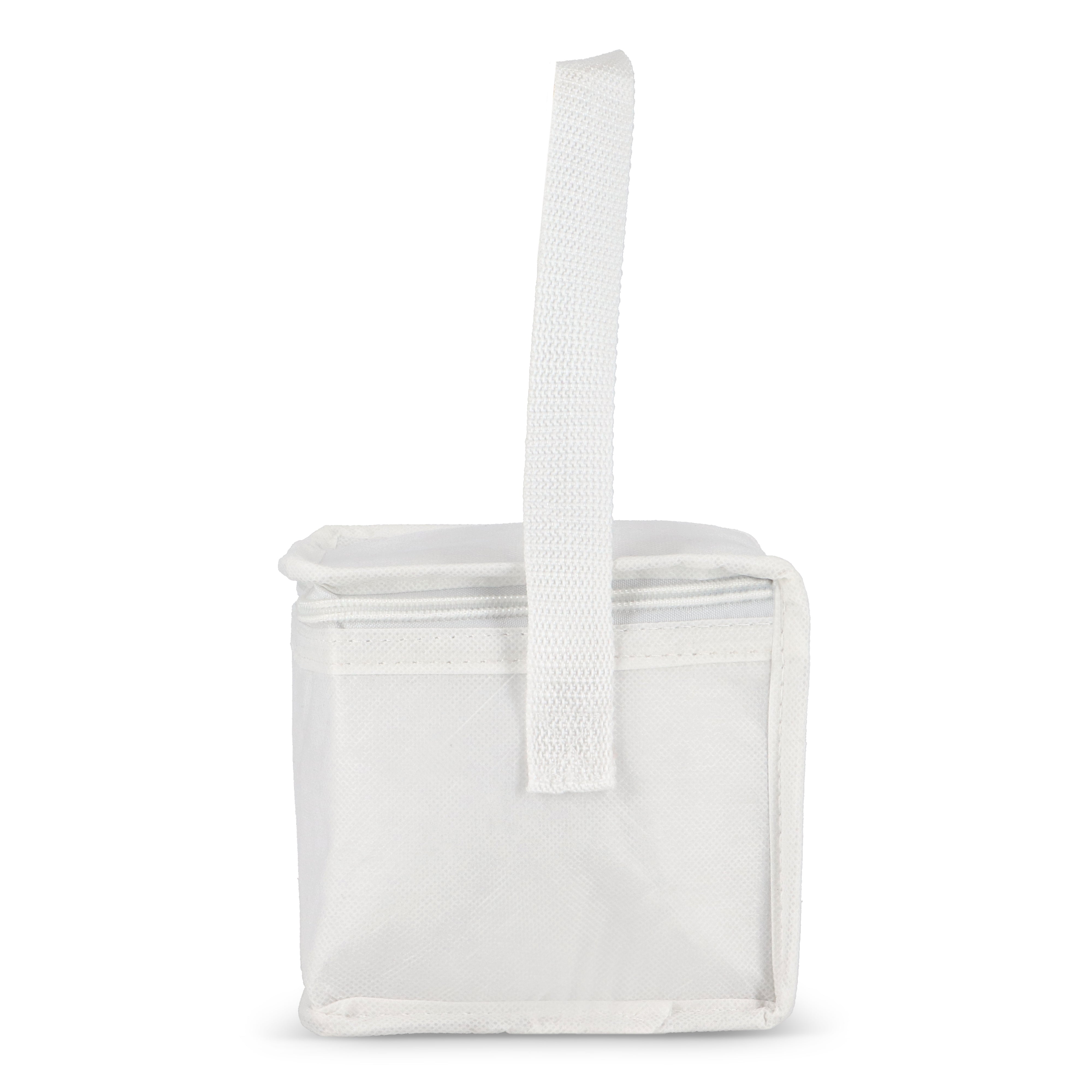 RPET 6-Dosen Kühltasche Non-Woven 75 g/m²