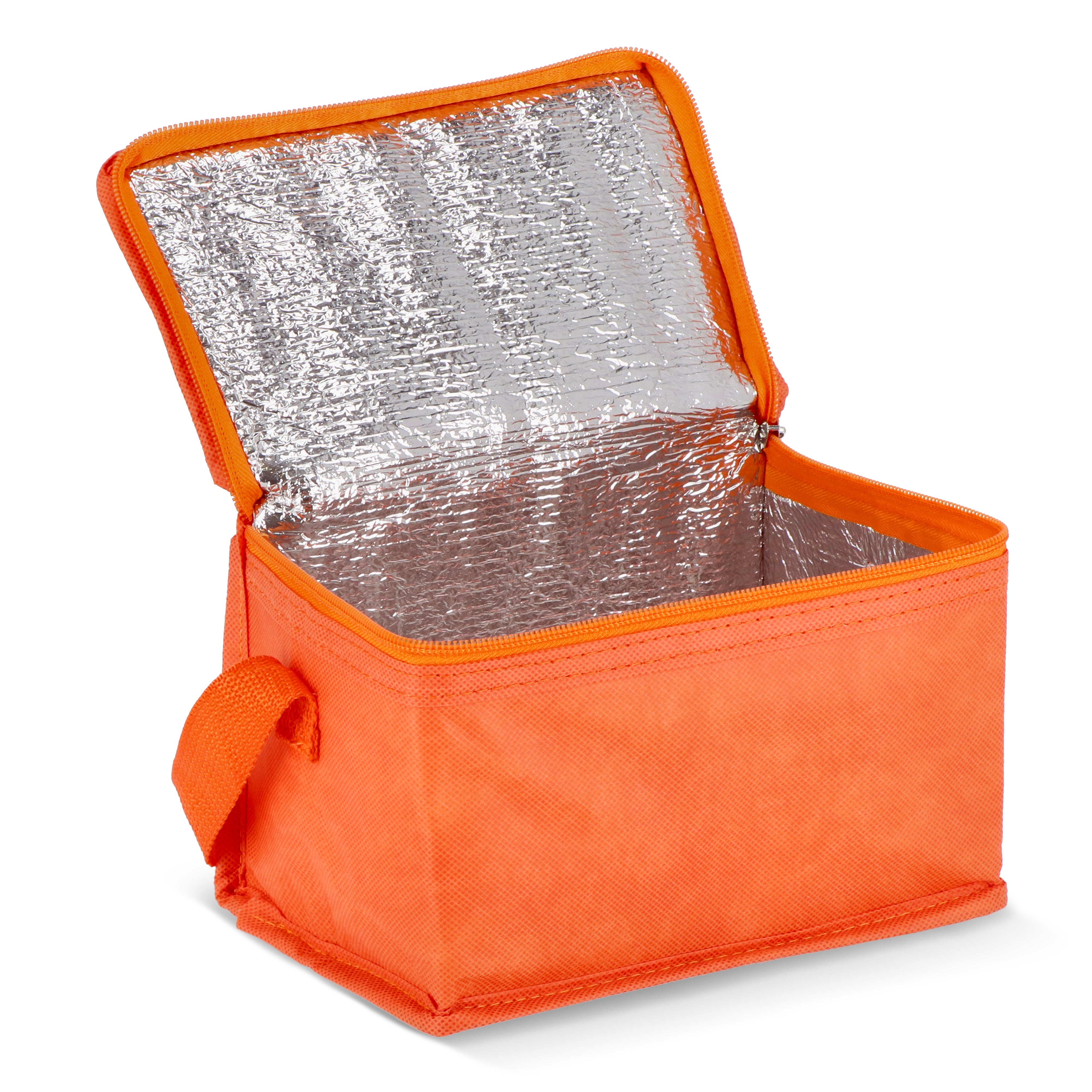RPET 6-Dosen Kühltasche Non-Woven 75 g/m²