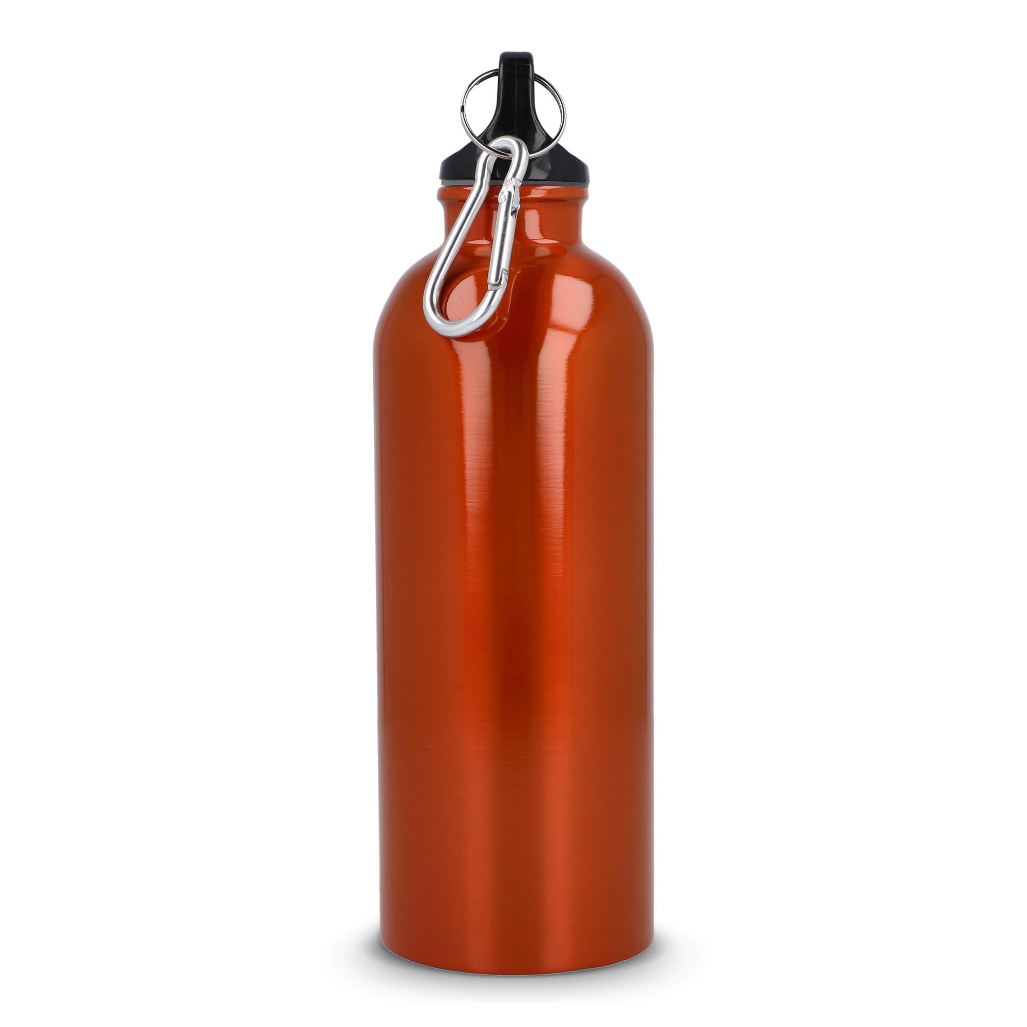 R-Edelstahl einwandige Flasche mit Karabiner 500 ml